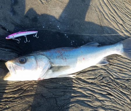 2021年最後の釣行