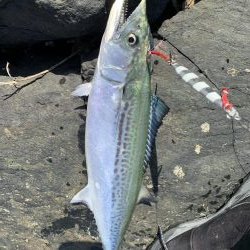 西京焼にしようっと♪