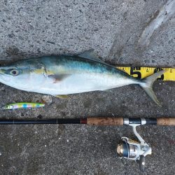 プチsalt water game