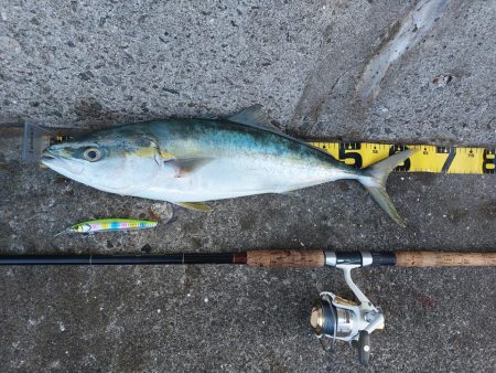 プチsalt water game