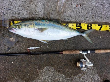 プチsalt water game