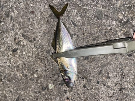 寒さに耐えてランガン