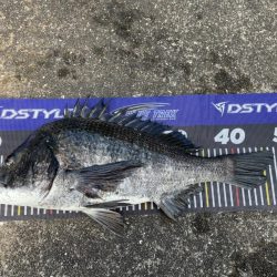 イチノ兄弟、釣果！