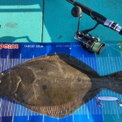 ヒラメ55センチハマチ70センチ