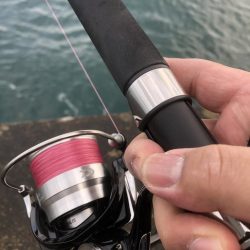 まだまだ続いてました!