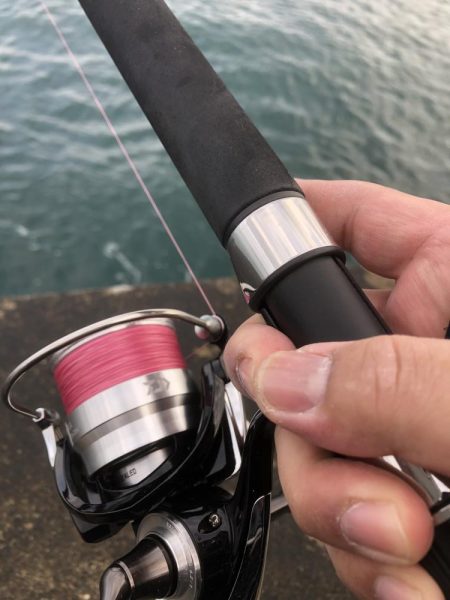 まだまだ続いてました!