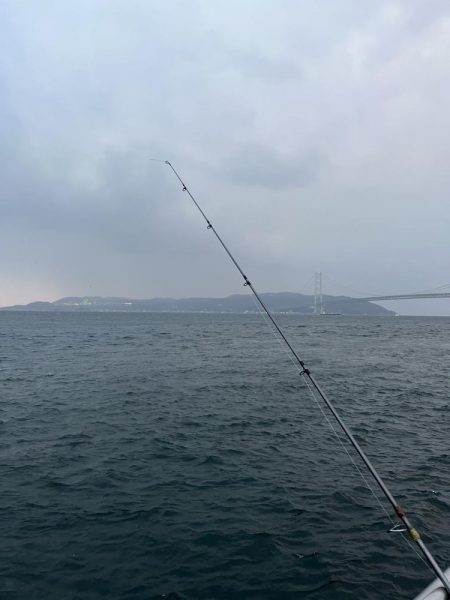 久しぶりのイワシっ子