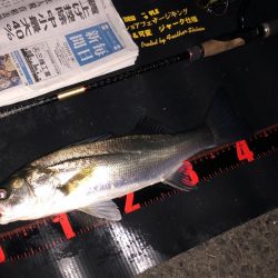 ががっときました。