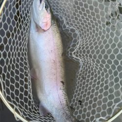 蛇尾川フィシングエリア