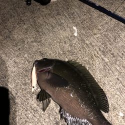 ポイントパニックメバリング