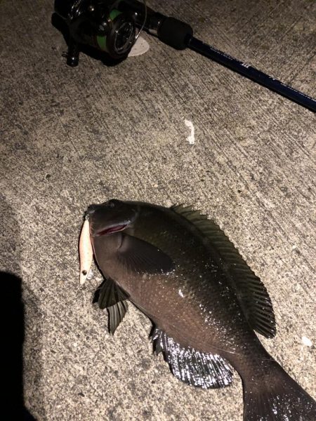 ポイントパニックメバリング