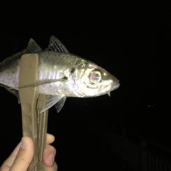 一人ぼっち釣行