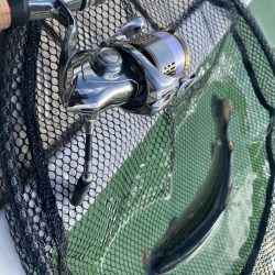 亀岡市かめプー