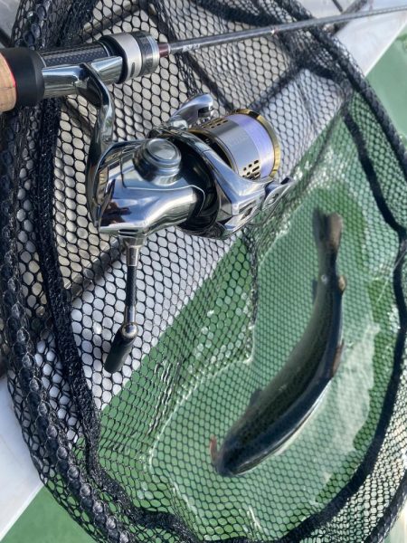 亀岡市かめプー