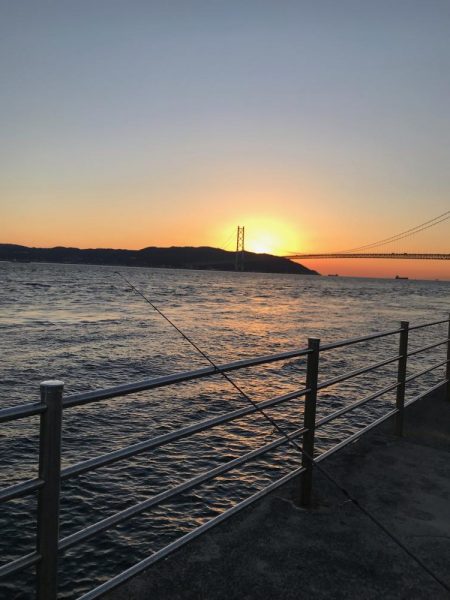 イワシっ子その2