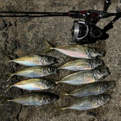 まだ豆がいっぱい