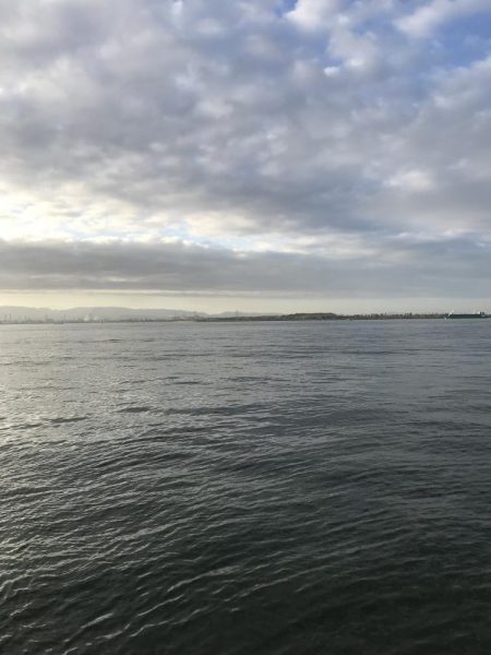 セットアッパー