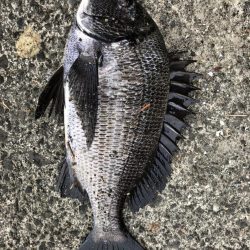 イチノ兄弟、釣果!