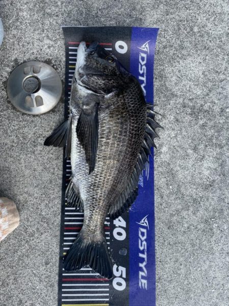 イチノ兄弟、釣果！