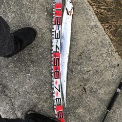 ダイソー改造ジグ