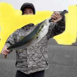 カタクチにメジロがついて来た。