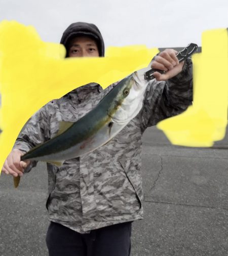 カタクチにメジロがついて来た。