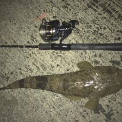 メッキ釣れずに暴れん坊