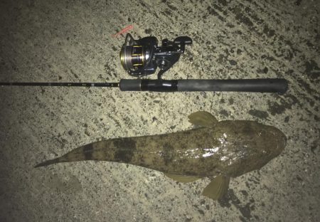 メッキ釣れずに暴れん坊