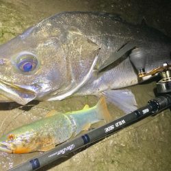 ドブテク練習中