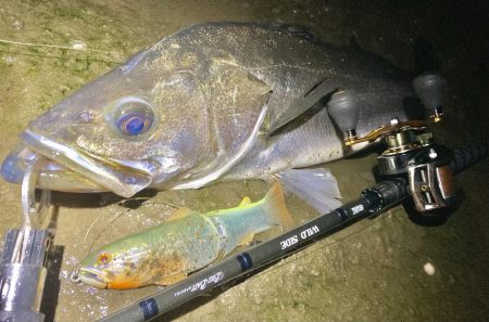 ドブテク練習中