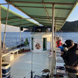 早朝ティップラン