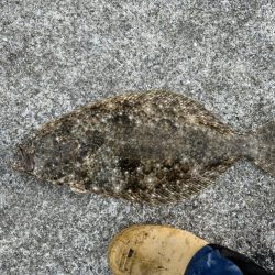 モイカが釣りたかったのに