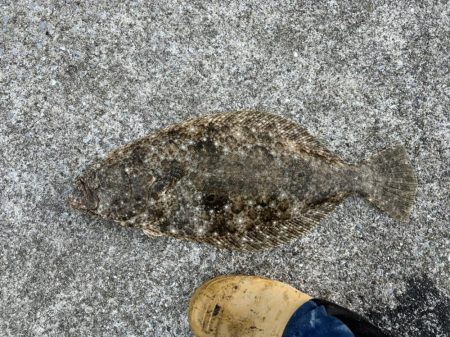 モイカが釣りたかったのに