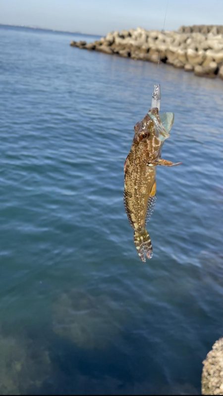 ジグワームで底物狙い