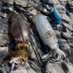 令和三年釣り納め 爆風の中、釣れてよかったー