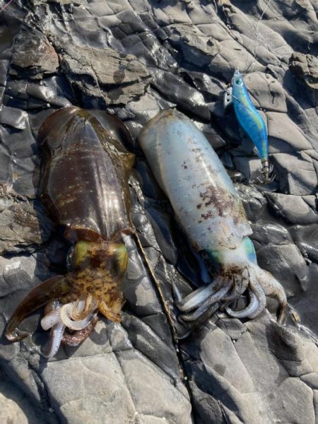 令和三年釣り納め 爆風の中、釣れてよかった…