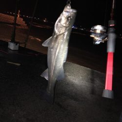 久しぶりに楽しい釣行