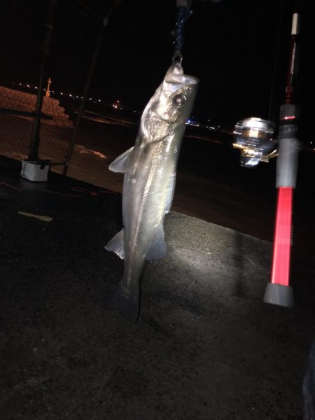 久しぶりに楽しい釣行