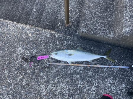 お昼3時でも釣れた〜