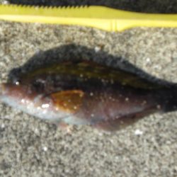 今年最後の淡路島