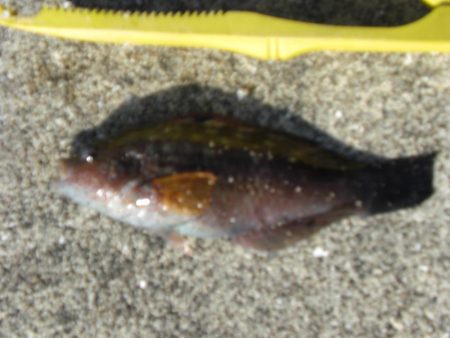 今年最後の淡路島