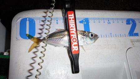 寒い中ライトゲームしてきました