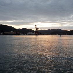 釣り納めに舞鶴でアジング