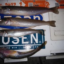 江井ヶ島へ連投