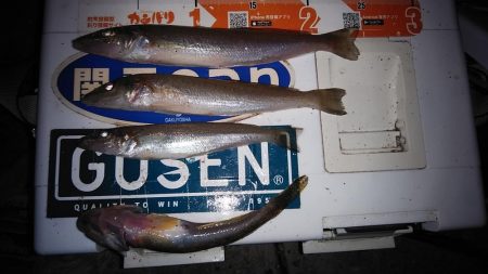 江井ヶ島へ連投