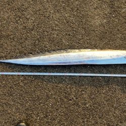 ドラゴンゲット!