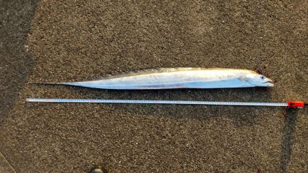 ドラゴンゲット!