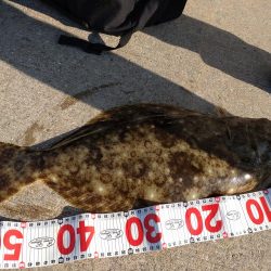 島に渡ってみました〜