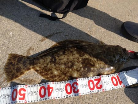 島に渡ってみました〜