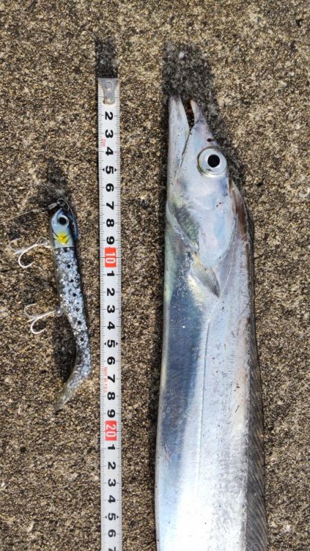 あたり渋い中、、、